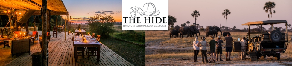 The Hide